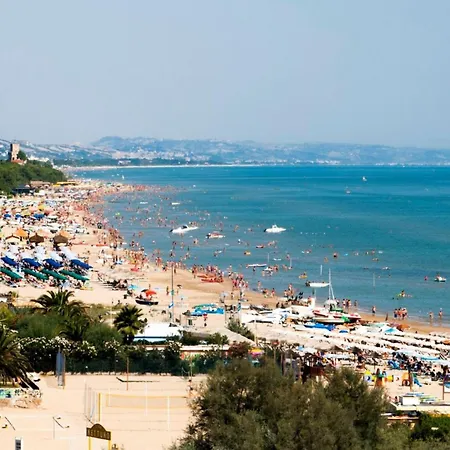 Ippocampo Silvi